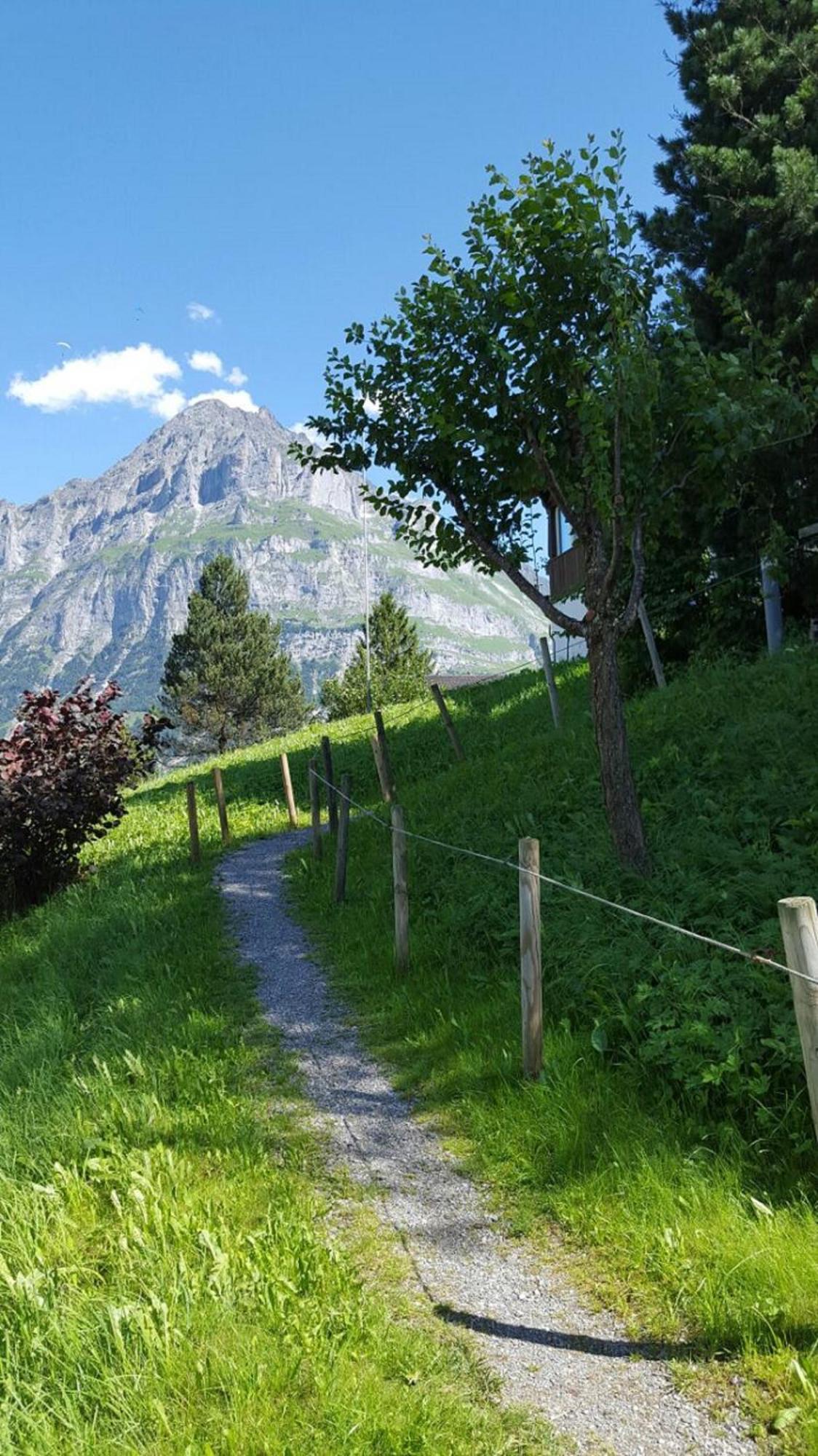 Chalet Waergistal Grindelwald Bagian luar foto