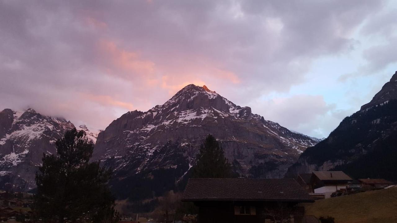 Chalet Waergistal Grindelwald Bagian luar foto
