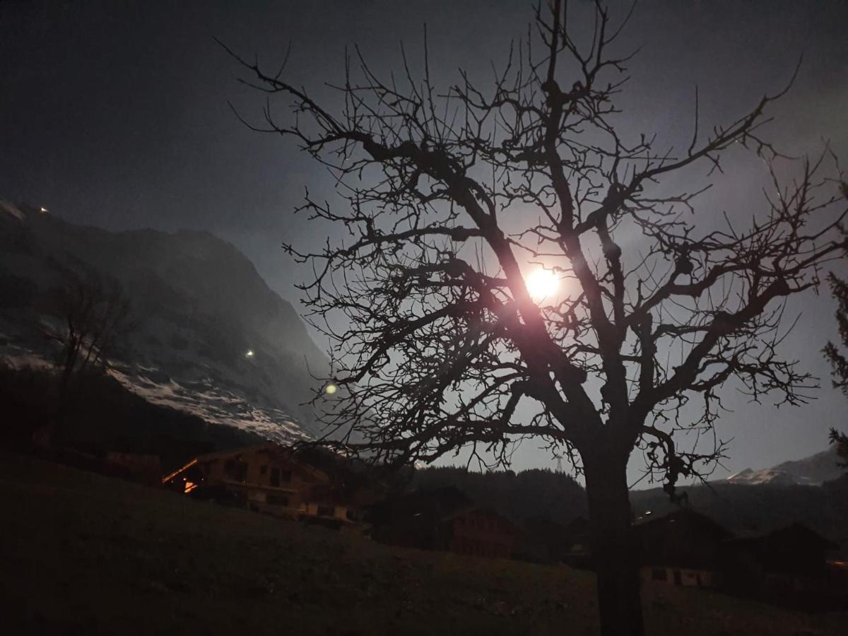 Chalet Waergistal Grindelwald Bagian luar foto