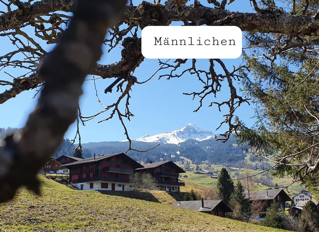 Chalet Waergistal Grindelwald Bagian luar foto